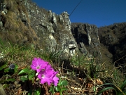 Verso il Monte Sornadello sul SENTIERO ’PASSO LUMACA’ con giro ad anello da Cornalita , sabato 21 aprile 2012 - FOTOGALLERY